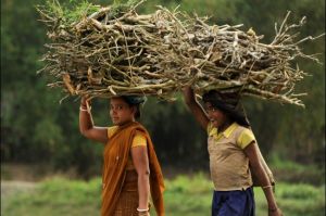 india_rural_firewood