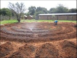 Permaculture New Jerusalem