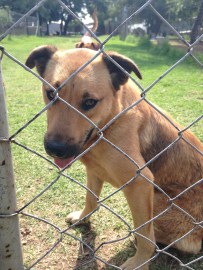 Photo Jan 31, 3 23 23 PM