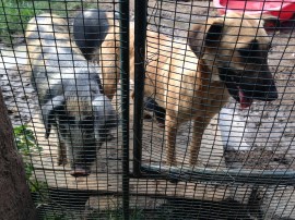 Photo Jan 31, 3 35 35 PM