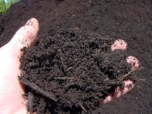 soil
