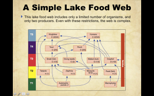 Screen Shot 2013-10-29 at 1.49.07 PM