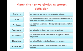 Screen Shot 2013-11-04 at 11.52.45 AM