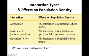 Screen Shot 2013-11-04 at 12.58.37 PM