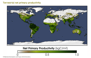 Screen Shot 2014-01-19 at 1.37.07 PM